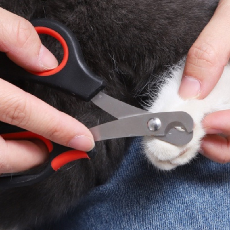 Cortador de Unhas Profissional para Pets 🐶🐱🐹 | ✈️ FRETE GRÁTIS