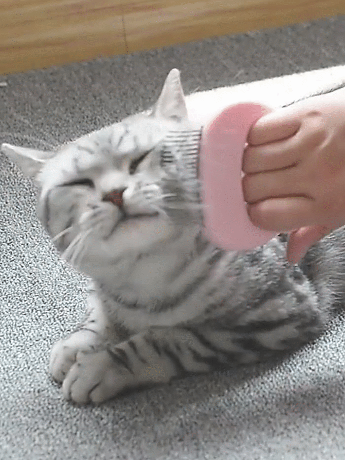 Escova Massageadora e Removedora de Pelos para Pets 🐶🐱 | ✈️ FRETE GRÁTIS