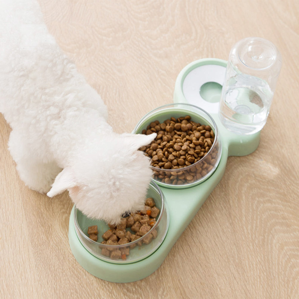 Tigela Ortopédica Anti Vômito com Bebedouro Automático para Pets 🐶🐱🐹 | ✈️ FRETE GRÁTIS