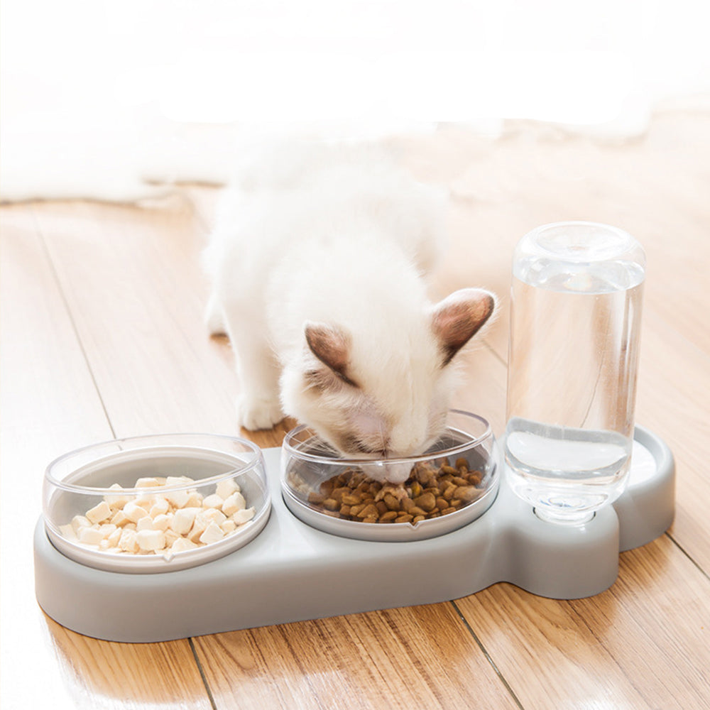 Tigela Ortopédica Anti Vômito com Bebedouro Automático para Pets 🐶🐱🐹 | ✈️ FRETE GRÁTIS
