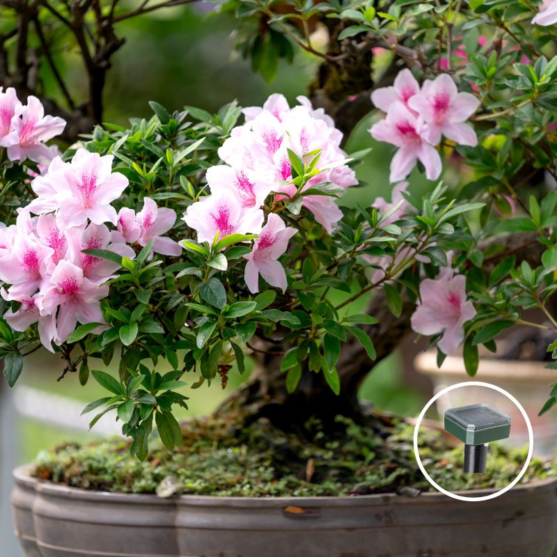 Repelente Solar Ultrassônico® Proteção 24horas, baterias recarregáveis através de energia solar.   ✈️ FRETE GRÁTIS 🚨🎁