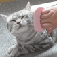 Escova Massageadora e Removedora de Pelos para Pets 🐶🐱 | ✈️ FRETE GRÁTIS