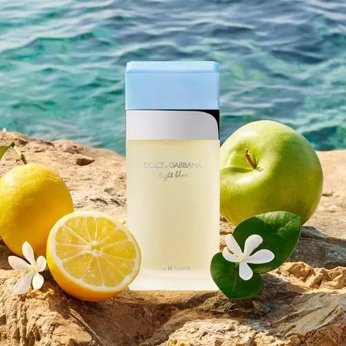 Perfume Dolce & Gabbana Light Blue Feminino Eau de Toilette | 😍🎁✈️ FRETE GRÁTIS